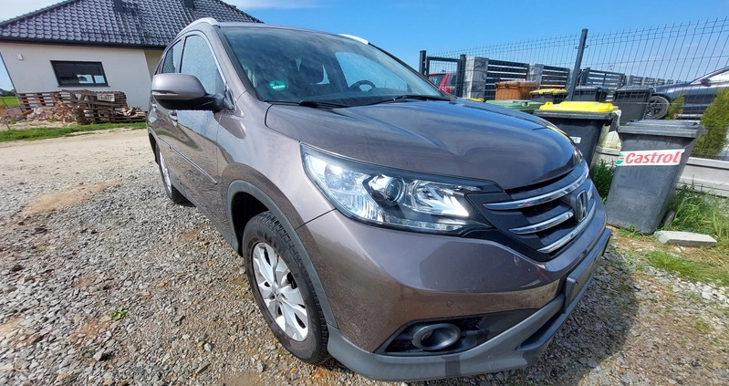 Honda CR-V cena 49999 przebieg: 171000, rok produkcji 2014 z Krosno małe 191
